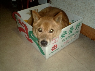 おはようございます