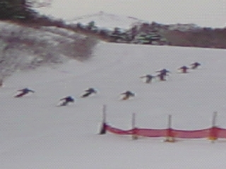 曇天なり