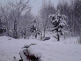 どどどど・・・