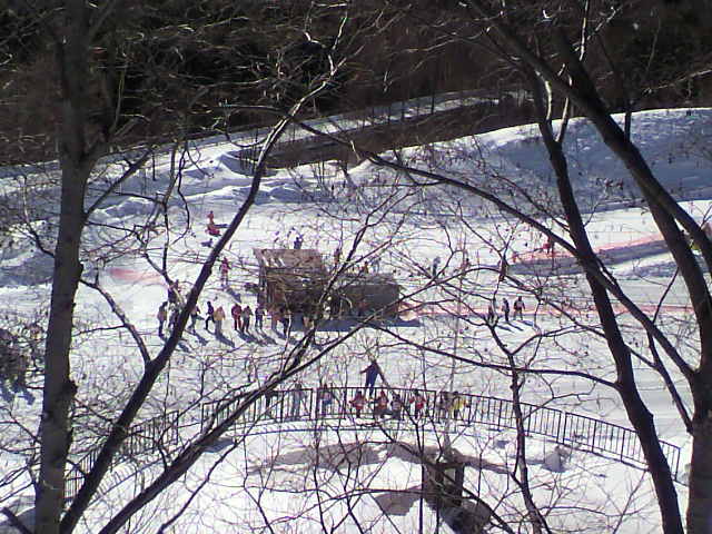極寒です