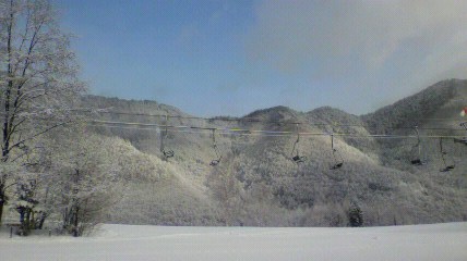 おはようございます