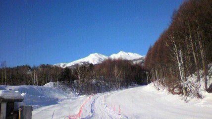おはようございます