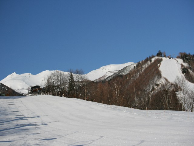 朝の様子