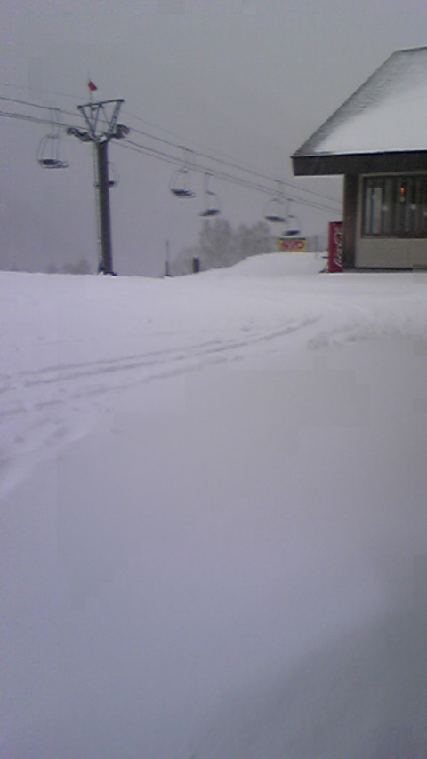シーズンin