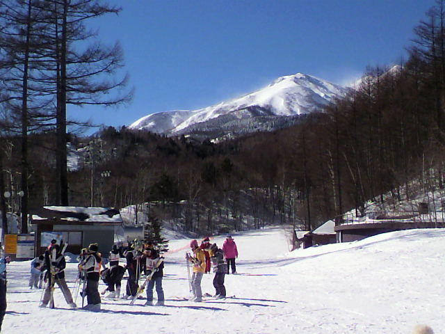 晴れました