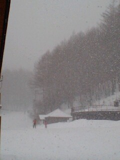 雪が振ってます