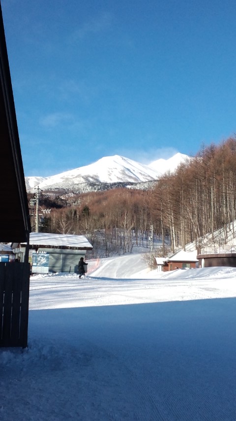 朝の様子
