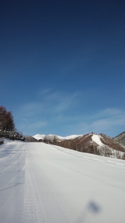 朝の様子