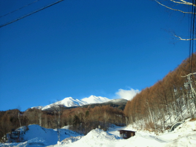今日は…